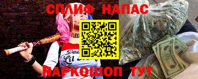 гашик Бийск
