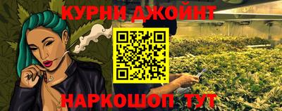 гашик Бийск
