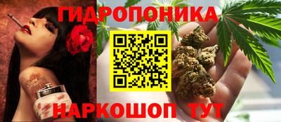 гашик Бийск