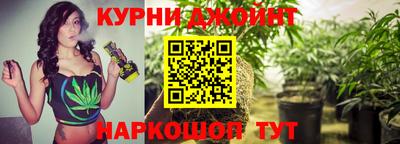 гашик Бийск