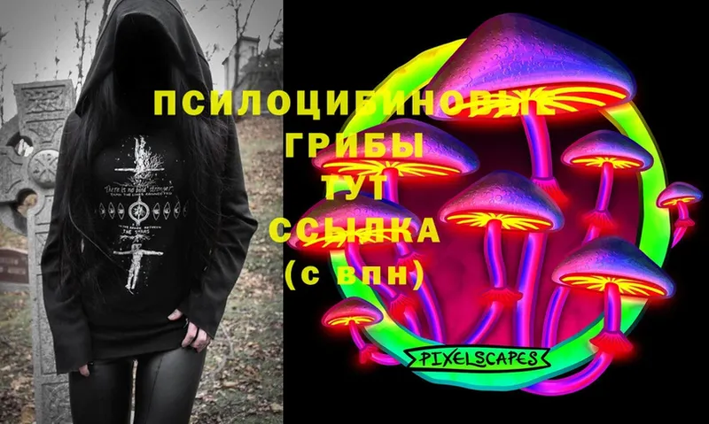 Псилоцибиновые грибы Magic Shrooms Коломна