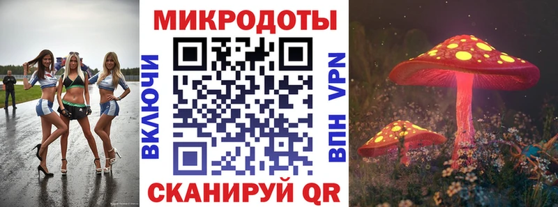 блэк спрут как войти  купить   Коломна  Псилоцибиновые грибы Magic Shrooms 