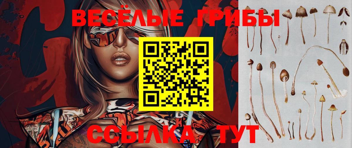 Галлюциногенные грибы Psilocybine cubensis  Вход с VPN  где можно купить наркотик  Галлюциногенные грибы прущие грибы  Коломна 