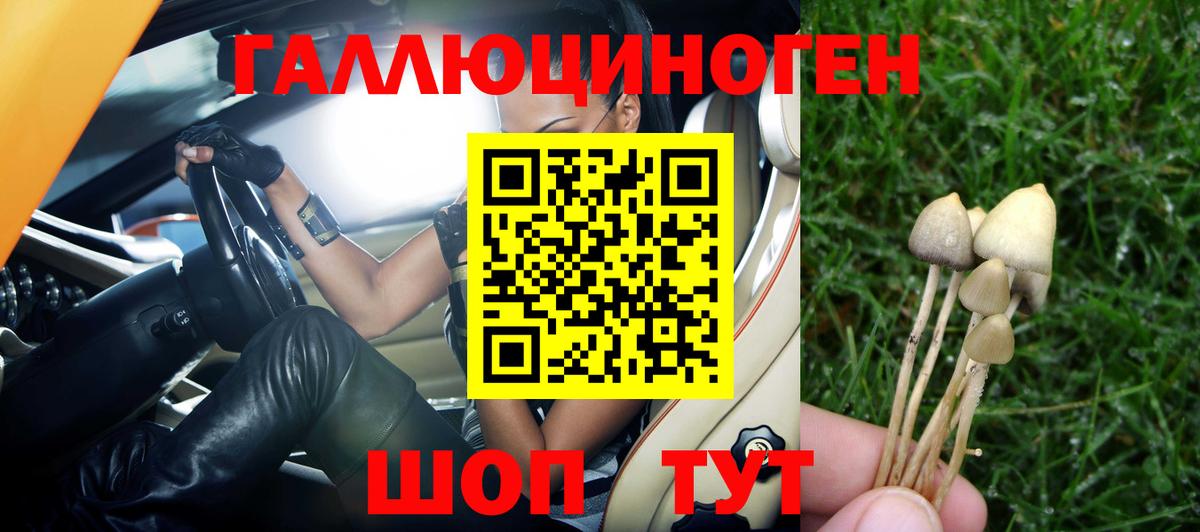 Псилоцибиновые грибы Cubensis Коломна